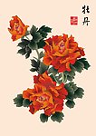 牡丹