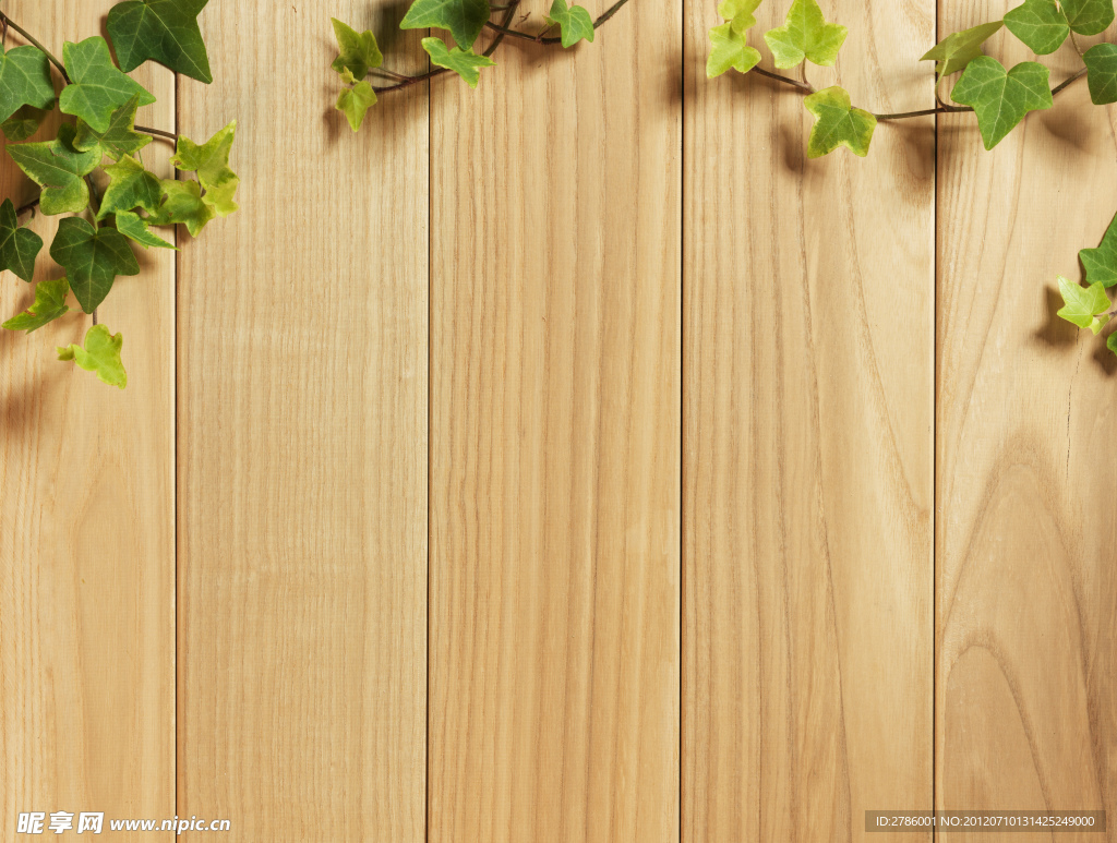 木纹木板 树叶