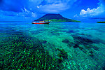 海洋