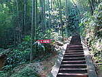 竹林