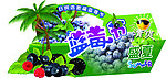 蓝莓节宣传牌