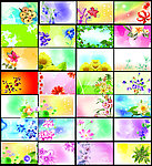 花朵展板