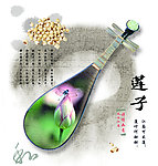 江南 莲子宣传