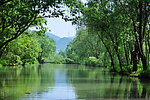 西溪湿地