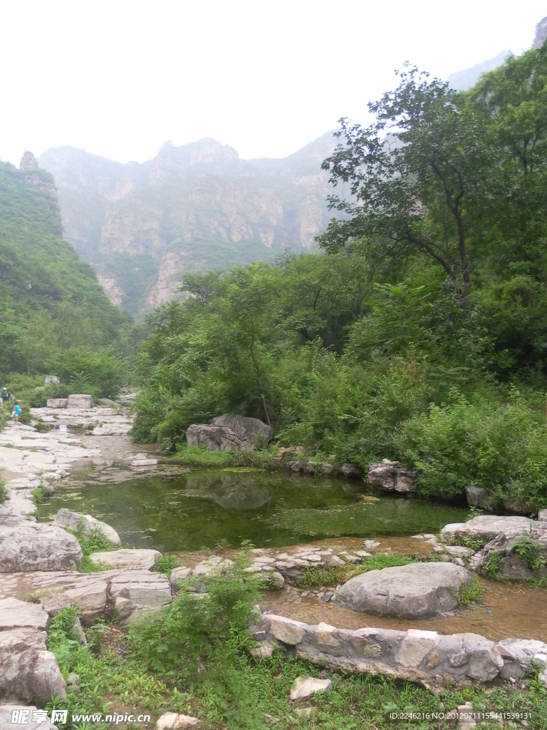 绿林小溪（非高清）