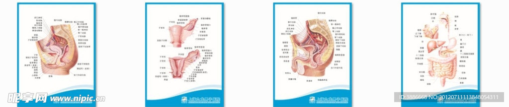 医院墙体挂画