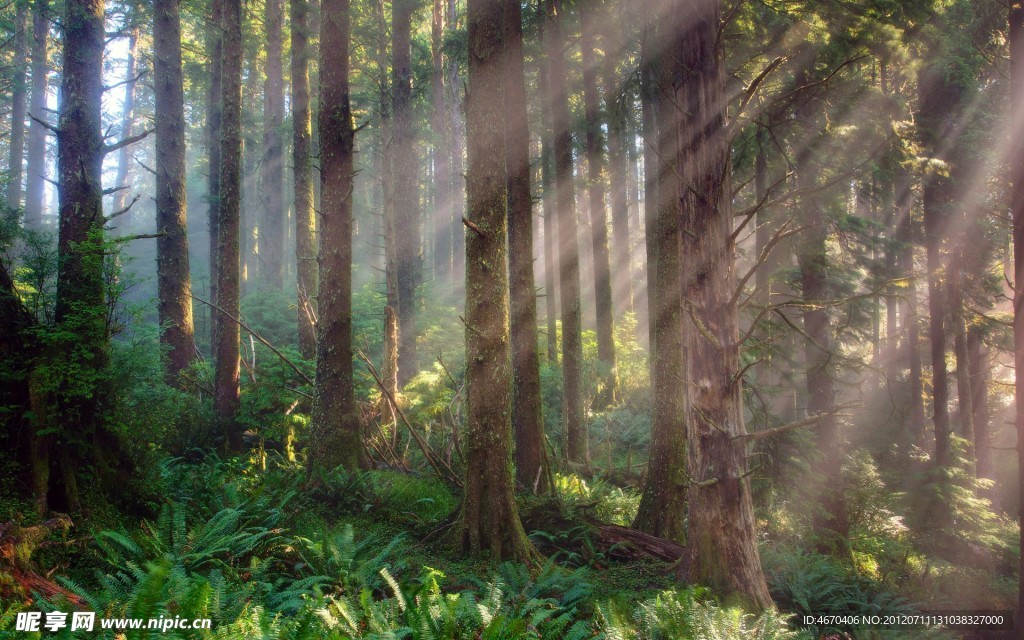 自然美景