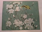 写意绘画花鸟之白玉兰与鸟