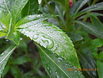 雨滴