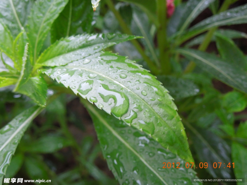 雨滴