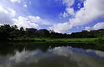 荔园山庄美景