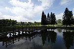 荔园山庄美景