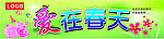 爱在春天