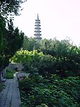 白塔