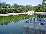 九楼湖风景