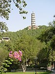 玉泉山 宝塔