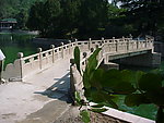石桥