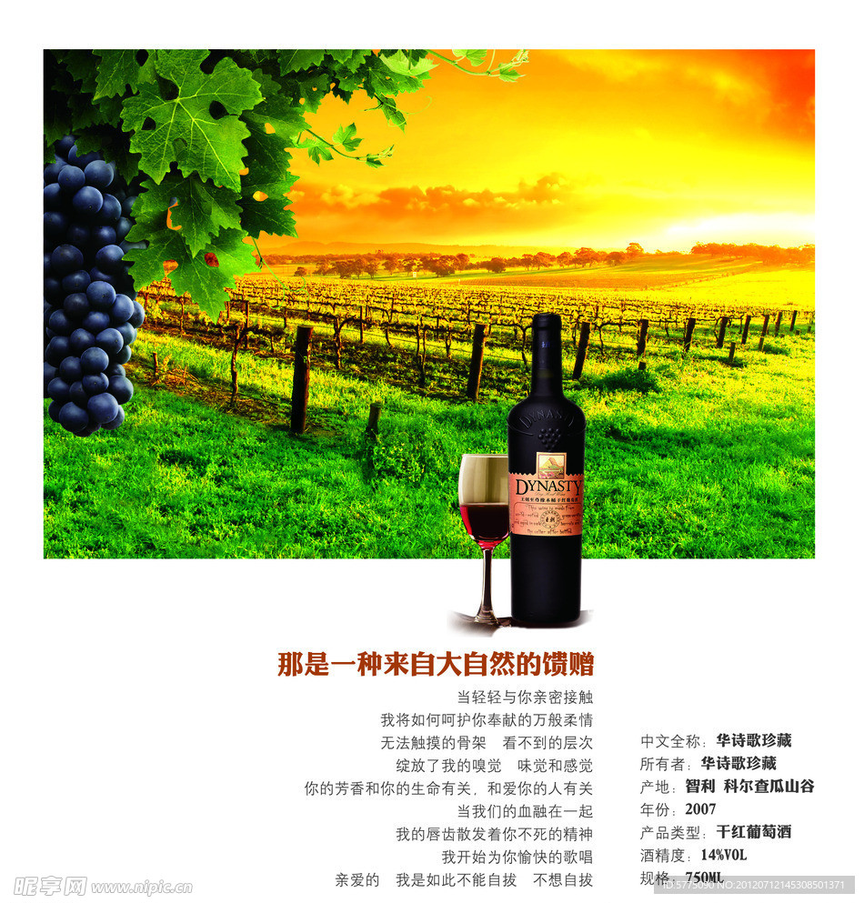 葡萄酒