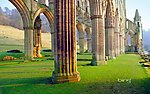 英国约克郡rievaulx修道院