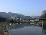 水田
