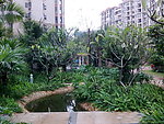 景观小溪
