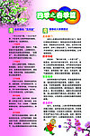 四季之春季篇