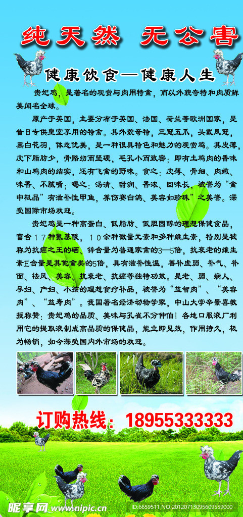 贵妃鸡