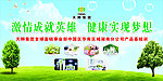 天狮产品基础训