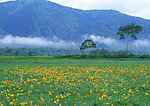 大自然美景