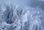 玉龙雪山