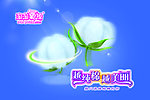 洁伶卫生巾