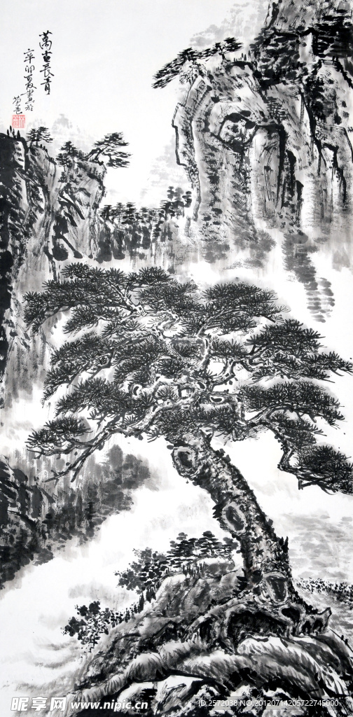 万古长青