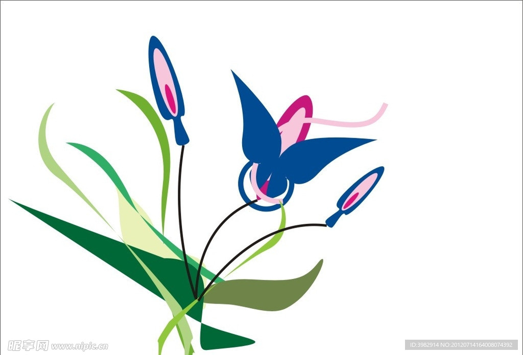 蝴蝶花