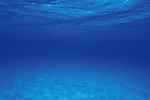 蓝色海洋