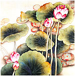 荷花国画