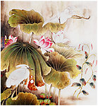 荷花国画