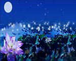 3D梦幻荷花