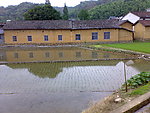 农家农田