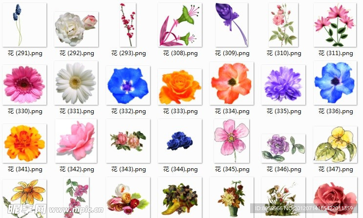 各种花朵