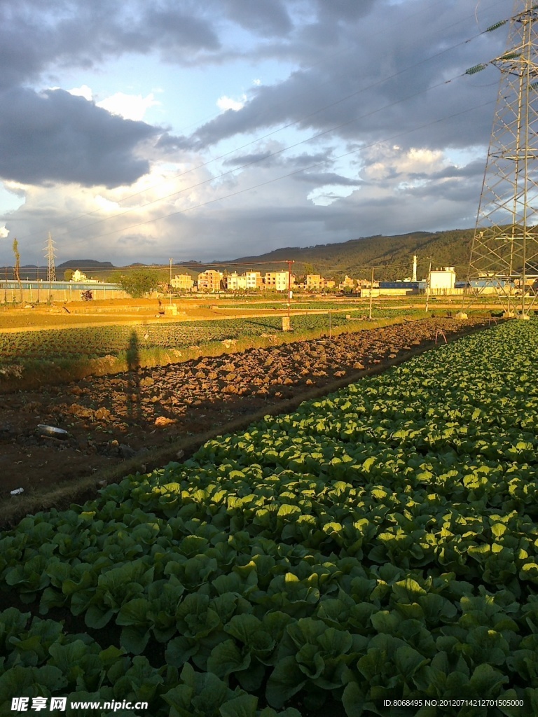 田园风景