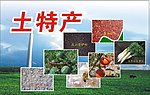 土特产