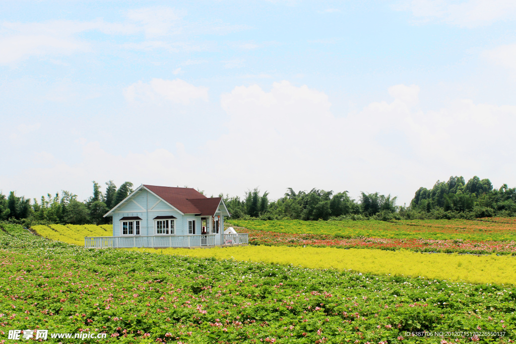 花海景观