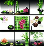 绿植无框画