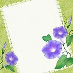 牵牛花信纸