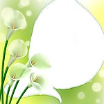 鲜花花朵无框画
