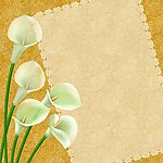 百合花画框