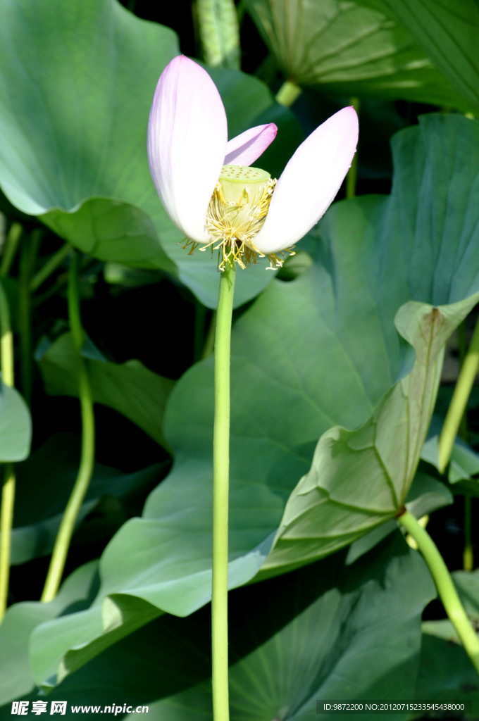 蜕变
