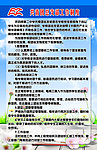 共青团总支部工作制度