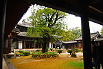 武夷山景区