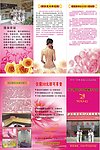 伊尔蔓三折页
